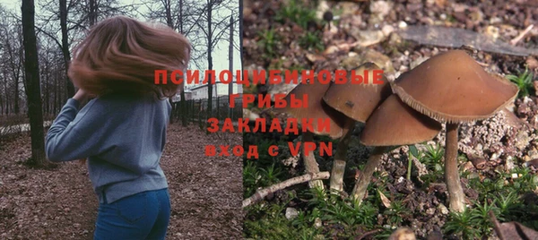 гидропоника Аркадак