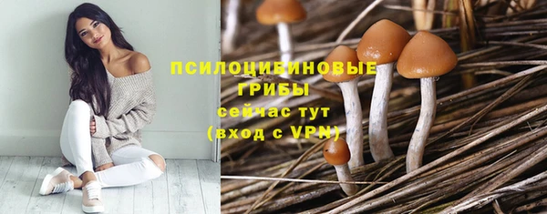 стаф Армянск