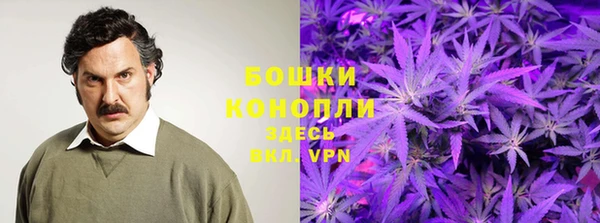 гидропоника Аркадак