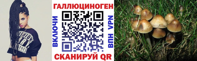 Купить где  Барнаул  Галлюциногенные грибы прущие грибы 